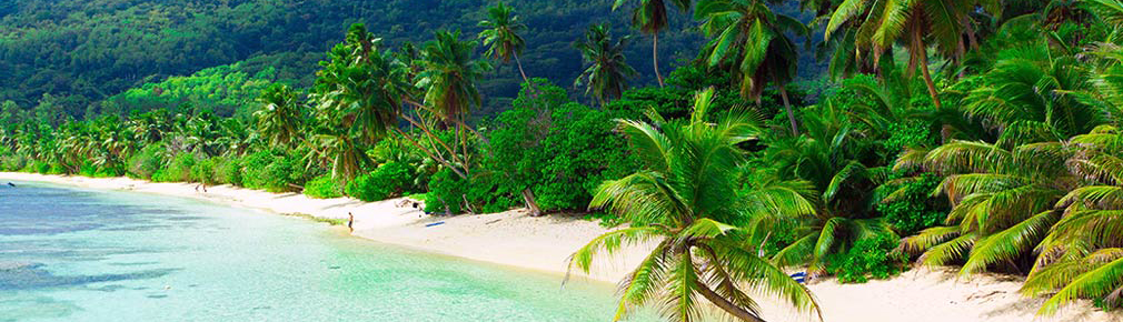 Турция из Казани